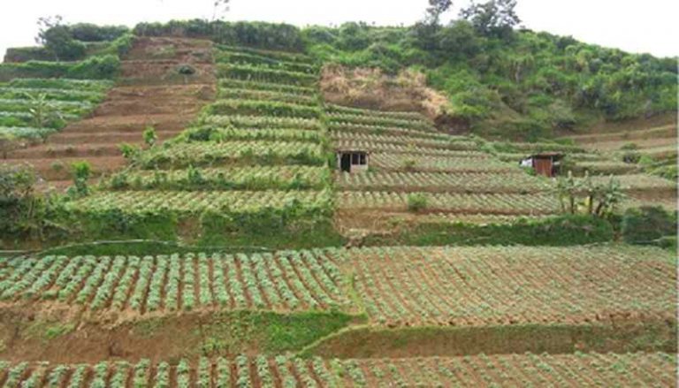 Pemanfaatan dan Pelestarian Lahan Potensial untuk Kehidupan Manusia
