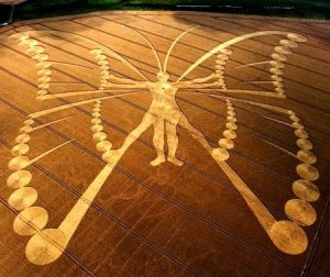 Vitruvian Man Crop Circle
